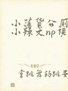 小荡货公厕h文小辣文np视频封面