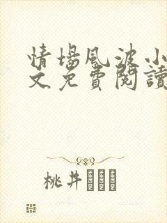 情场风波小说全文免费阅读最新章节封面