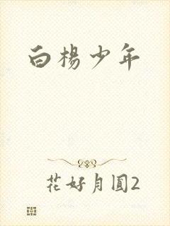 白杨少年封面