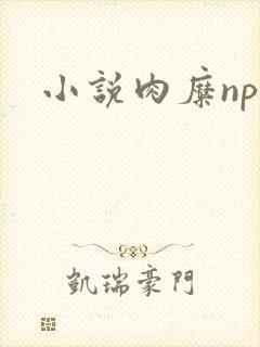 小说肉糜np