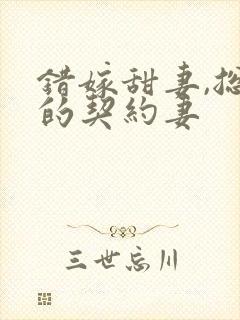 错嫁甜妻,总裁的契约妻