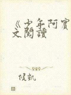 《少年阿宾》全文阅读