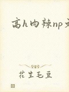 高h肉辣np文
