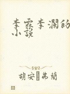 李霖李澜的官场小说封面