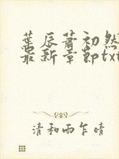 叶辰萧初然免费最新章节txt
