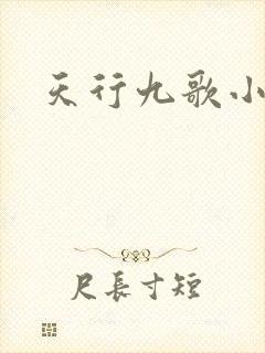 天行九歌小说