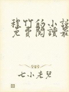 程竹的小说全文免费阅读最新章节封面