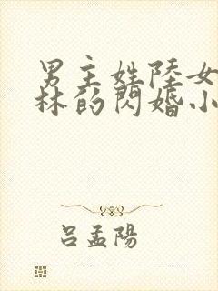 男主姓陆女主姓林的闪婚小说