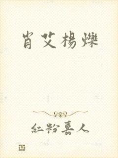 肖艾杨烁封面