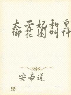 太子妃和皇帝在御花园叫什么小说封面
