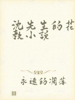 沈先生的花式调教小说封面