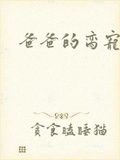 爸爸的脔宠