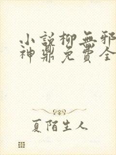 小说柳无邪吞天神鼎免费全文