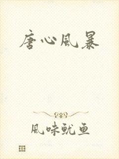 唐心风暴
