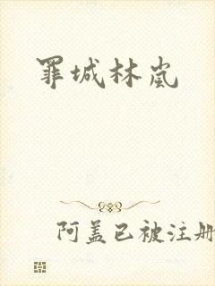 罪城林岚封面
