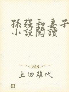 孙强和妻子王颖小说阅读
