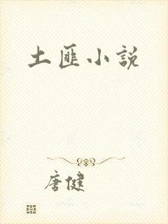 土匪小说