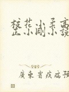 校花小柔高达小正小刚小说封面