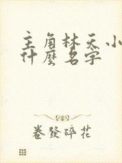 主角林天小说叫什么名字