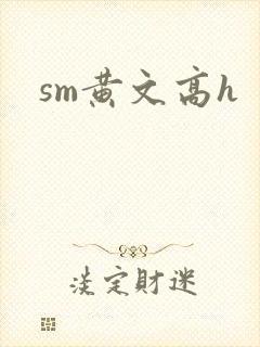 sm黄文高h