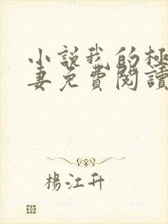 小说我的极品娇妻免费阅读全文