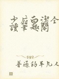 少府白洁全文阅读笔趣阁封面