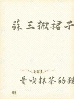 苏三掀裙子封面