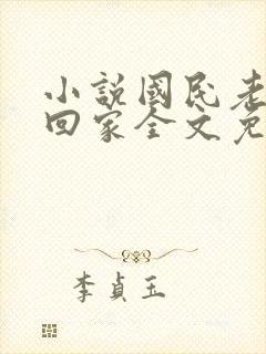 小说国民老公带回家全文免费阅读