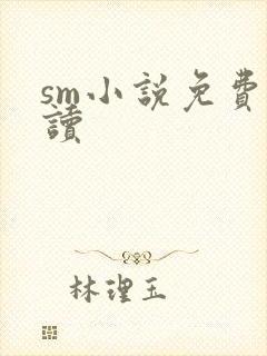 sm小说免费阅读