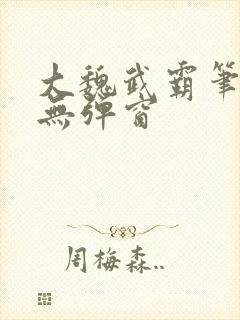大魏武霸笔趣阁无弹窗