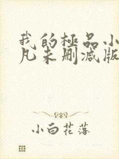 我的极品小姨叶凡未删减版