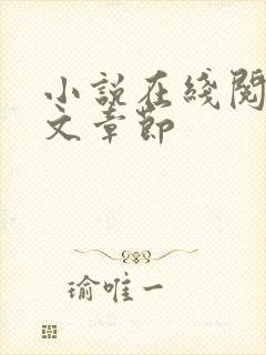 小说在线阅读全文章节
