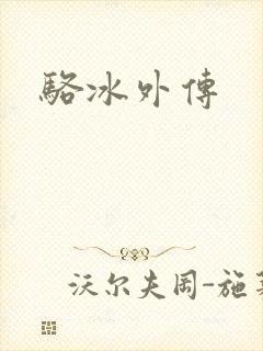 骆冰外传