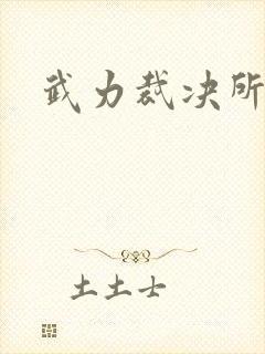 武力裁决所