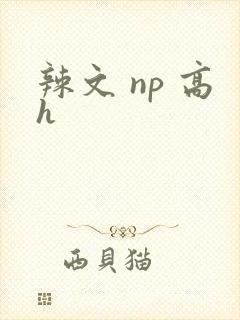 辣文 np 高h封面