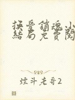 换爱销魂小说大结局免费阅读