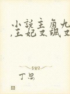 小说主角九殿下,王妃又飒又狠
