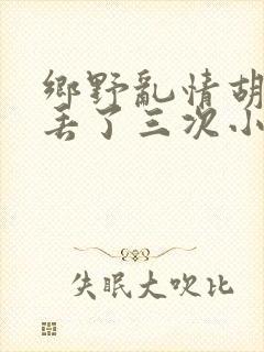 乡野乱情胡秀英丢了三次小说封面