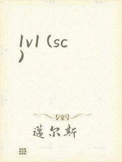 1v1 (sc)