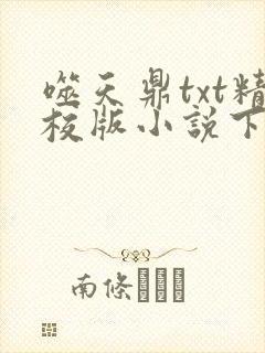 噬天鼎txt精校版小说下载