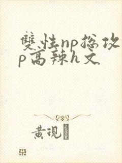 双性np总攻np高辣h文