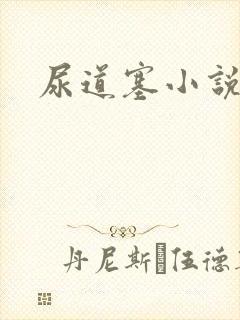 尿道塞小说