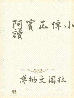 阿宾正传小说在读