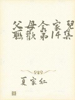 父母全家儿女大联欢第14集封面