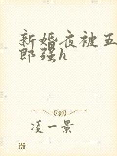 新婚夜被五个伴郎强h