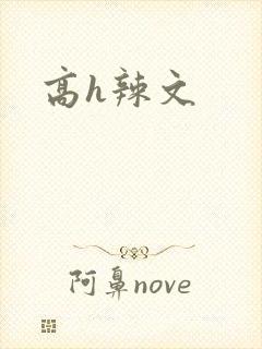 高h辣文