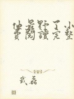 他最野了小说免费阅读完整版无弹窗