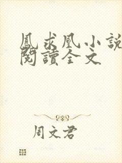 凤求凰小说免费阅读全文封面