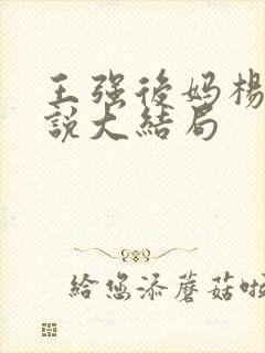 王强后妈杨美小说大结局