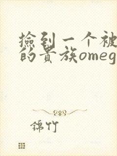 捡到一个被抹布的贵族omega